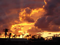 Sunset Photos